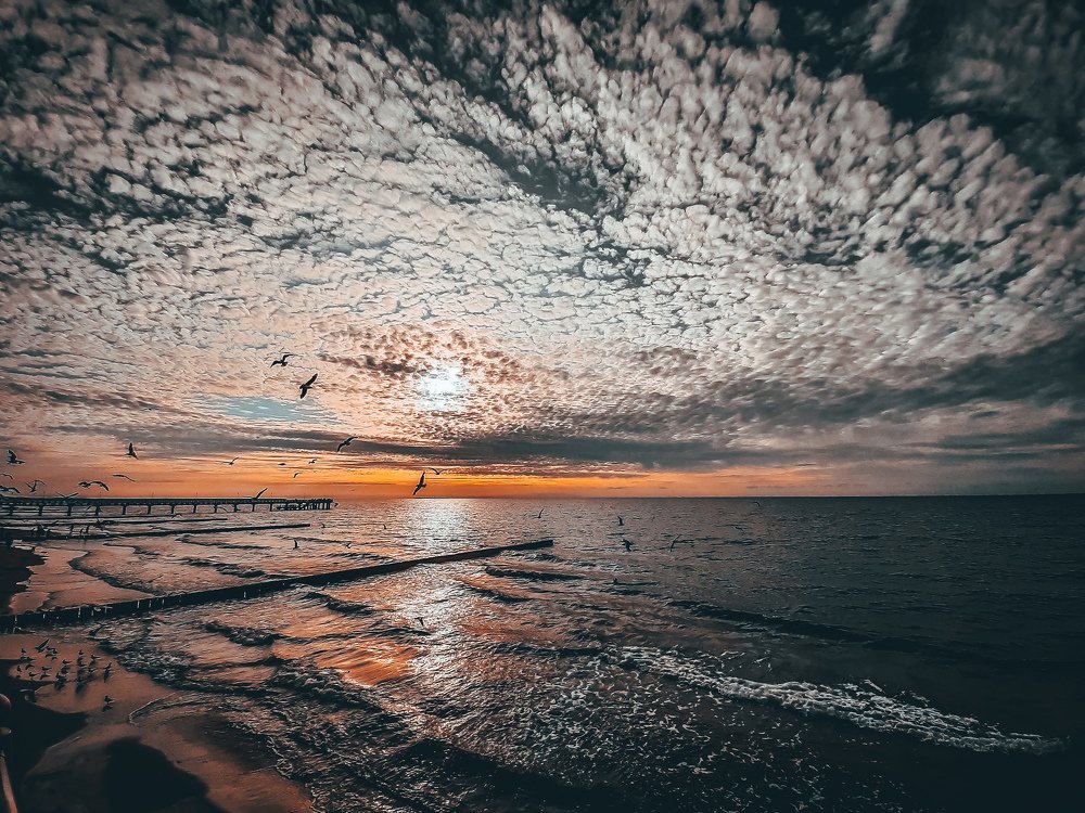 Photograph by Владимир Алейников