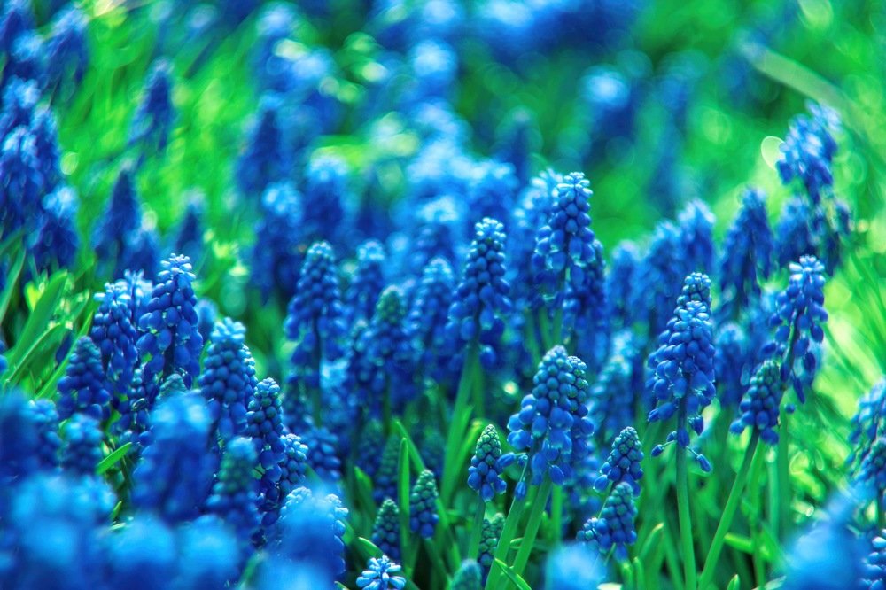 Photograph by Артем Серебряный