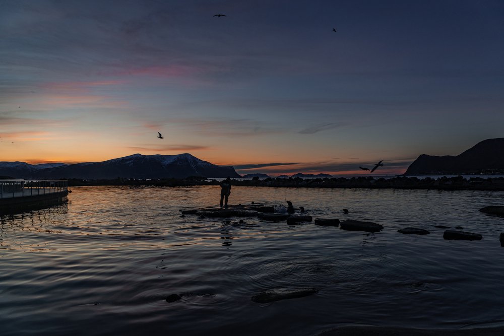 Photograph by Любовь Белявцева