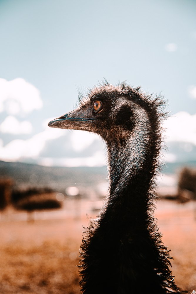 Photograph by Holden Perpelitz