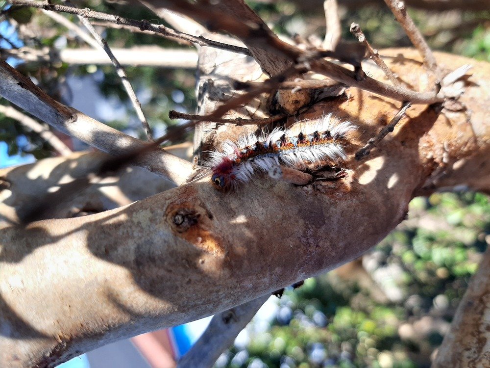 Photo #4940379
