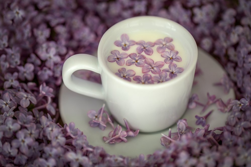 Фотография автора Зоя Галимова