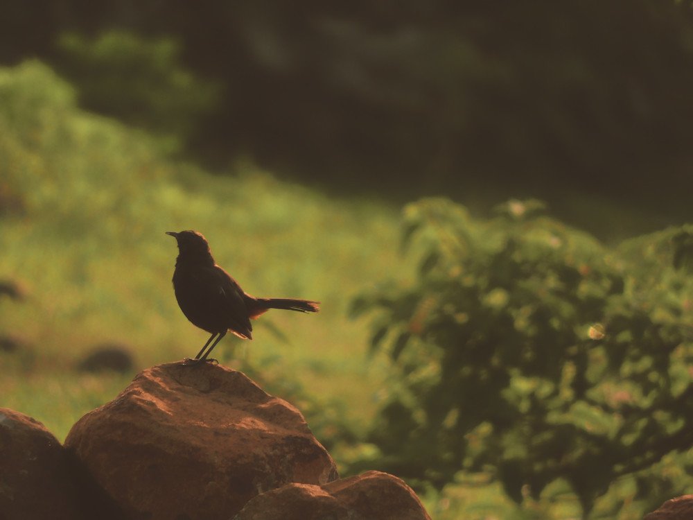 Photograph by LAKHAN YADAV