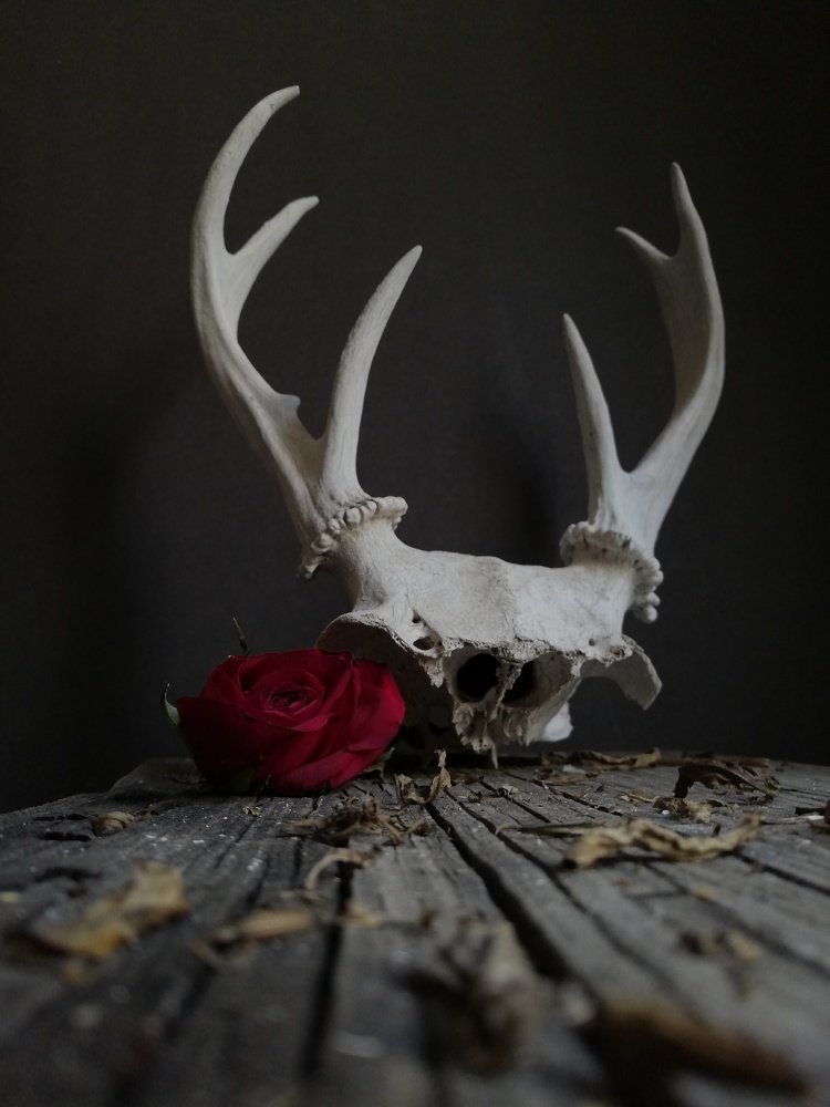 Photograph by Andrea Alcalá