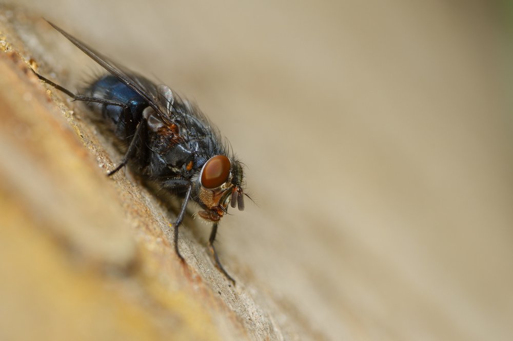 Photograph by Виталий Бодрягин