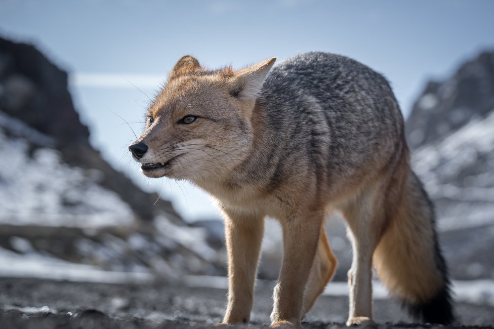 Photograph by Jovanny Bravo