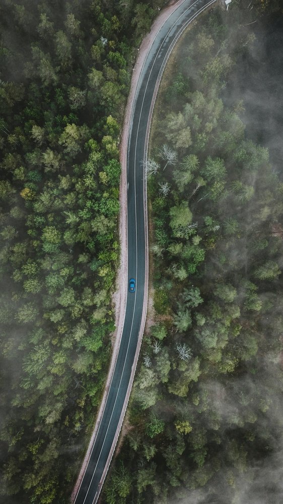 Photograph by Никита