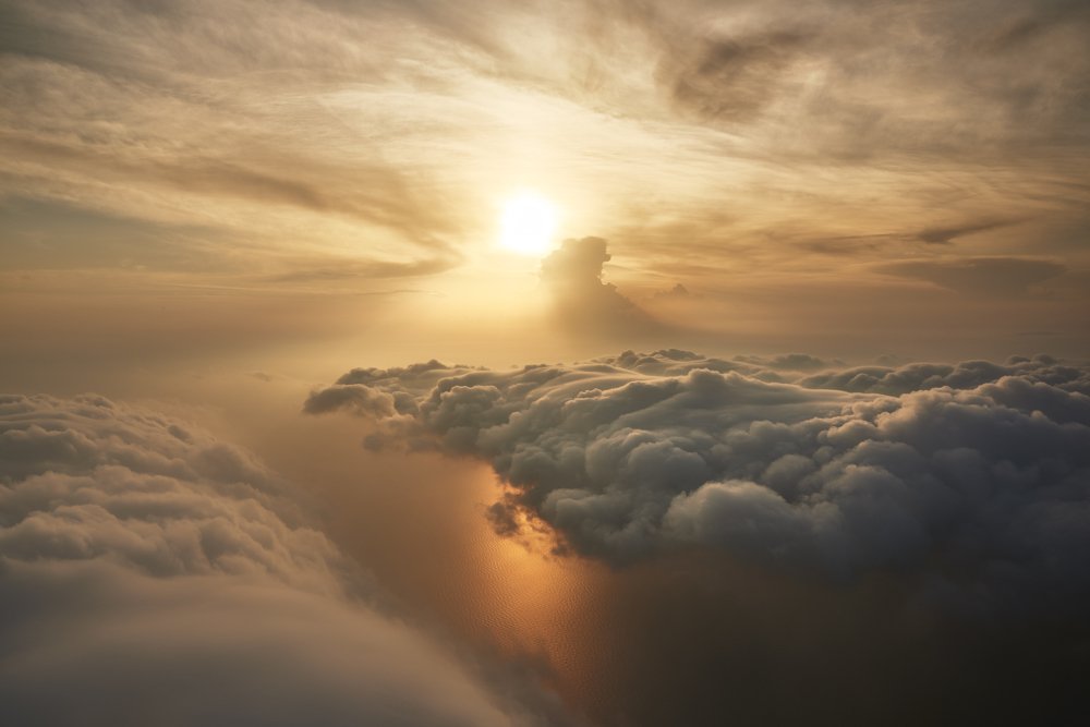 The ocean of Eternal Wisdom