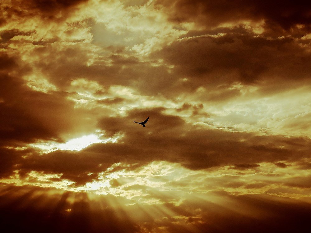 Photograph by Wynand Carelse