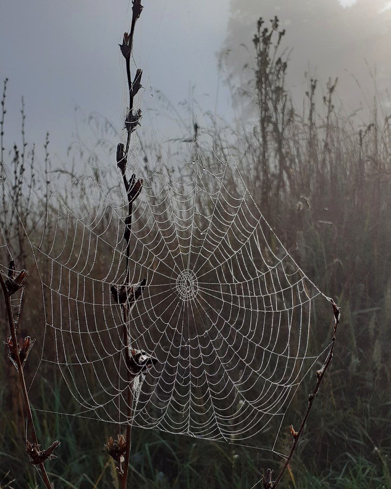 Photograph by Алсу Гиматова