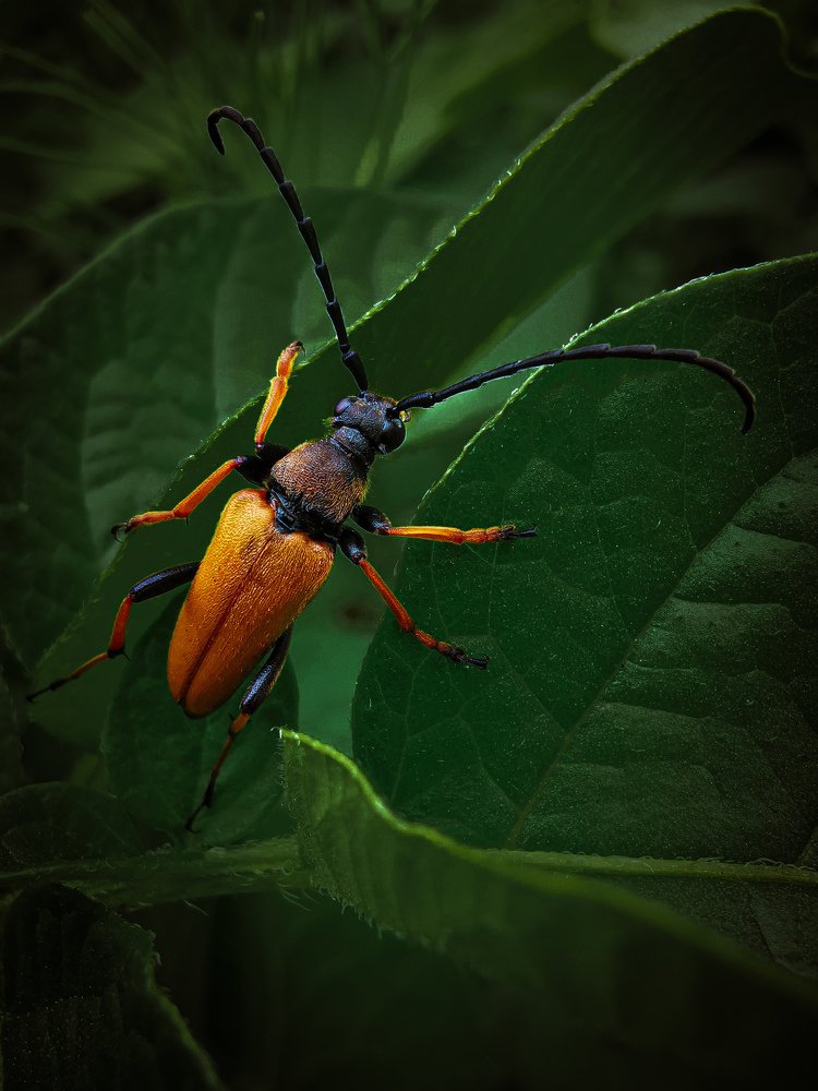 Photograph by Ольга Воронова