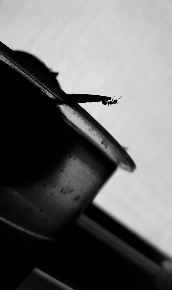 Photograph by Вячеслав