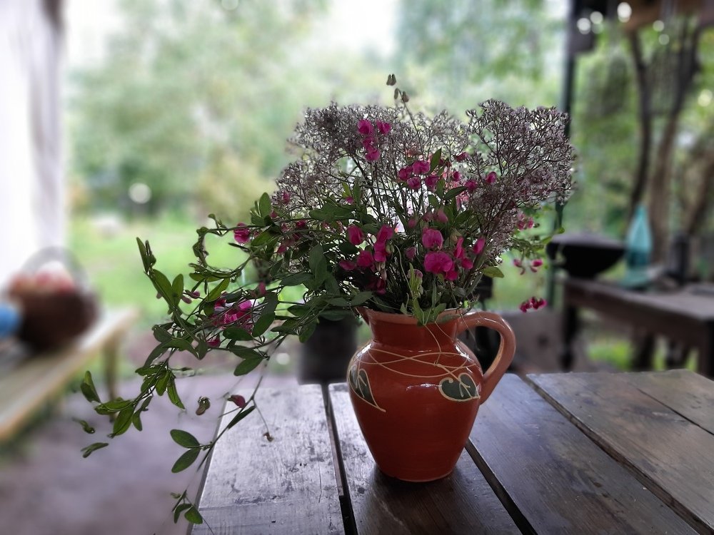 Photograph by Елена Грошева