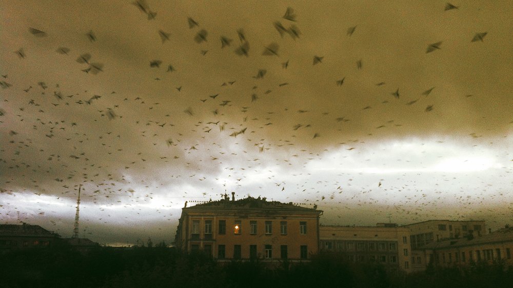 Photograph by Дмитрий Тихомиров