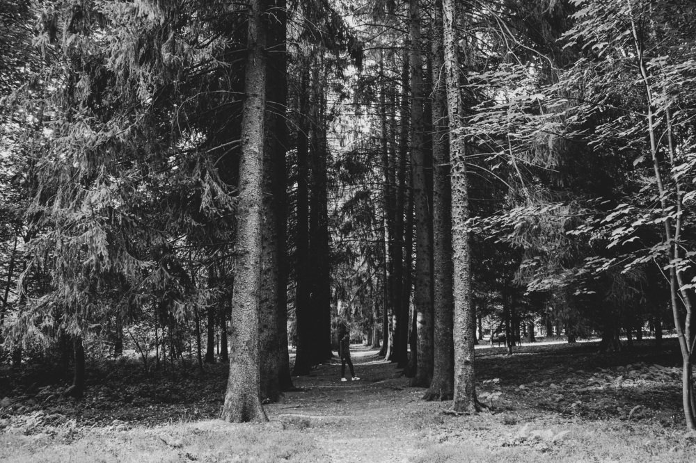 Фотография автора Эмма Марзоева