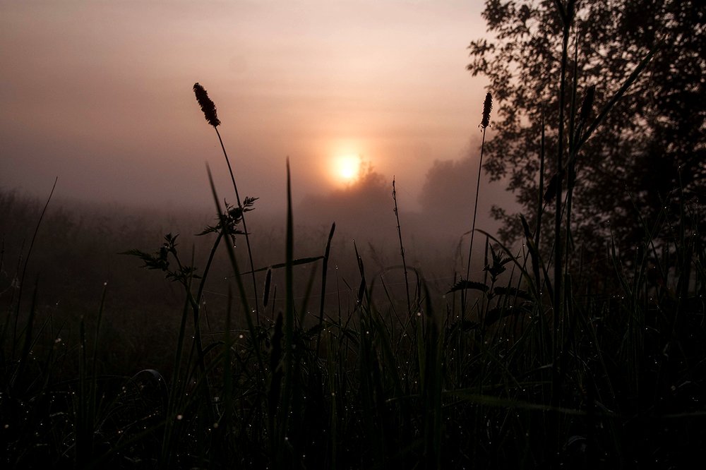 Photograph by Ольга Цветкова