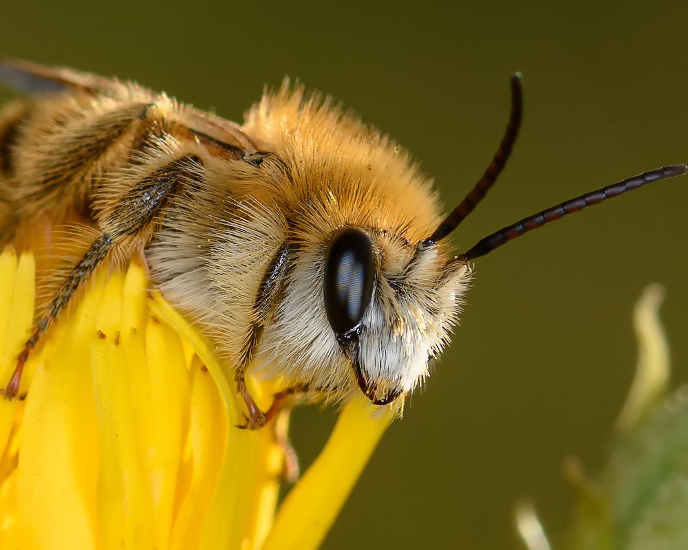 Фотография автора Владимир Зубков