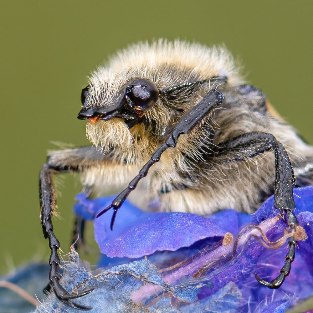 Фотография автора Владимир Зубков
