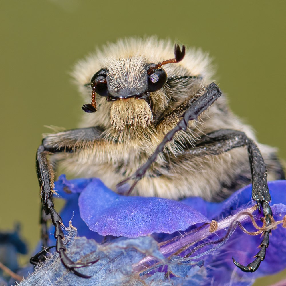 Фотография автора Владимир Зубков
