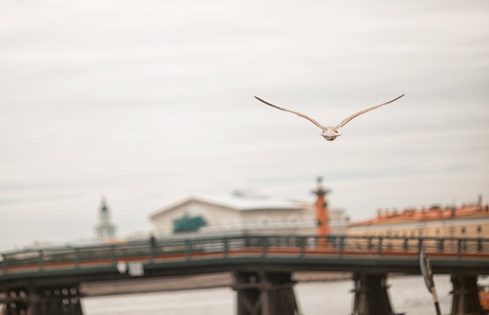 Photograph by Ирина Малина