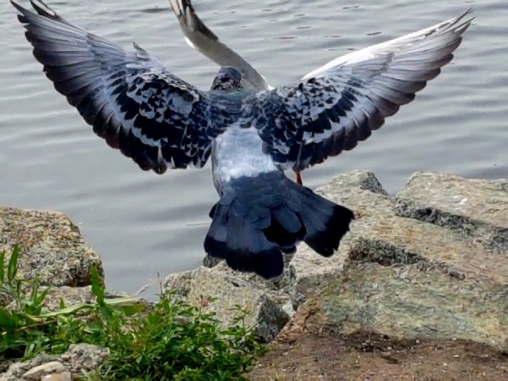 Photograph by Екатерина Емельянова