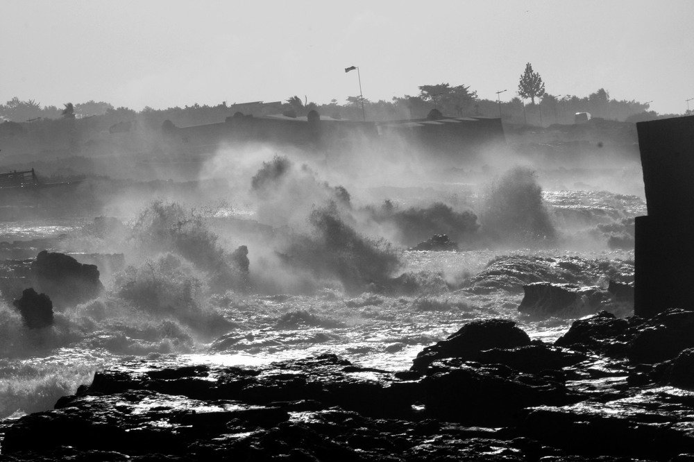 Photograph by João Torres