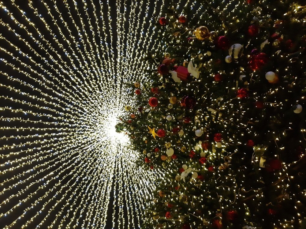 Photograph by Анастасия Зенкина