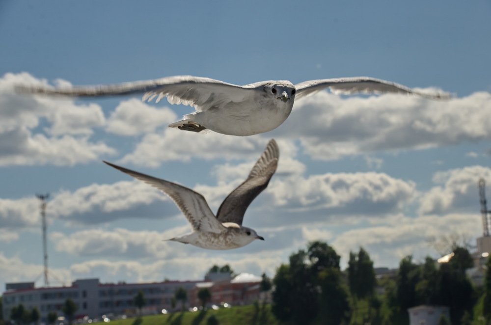 Photograph by Надежда Михайлина