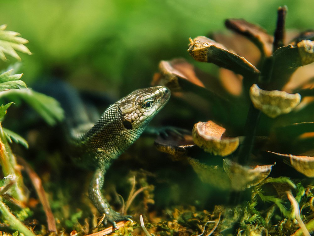 Photograph by Ольга Цветкова