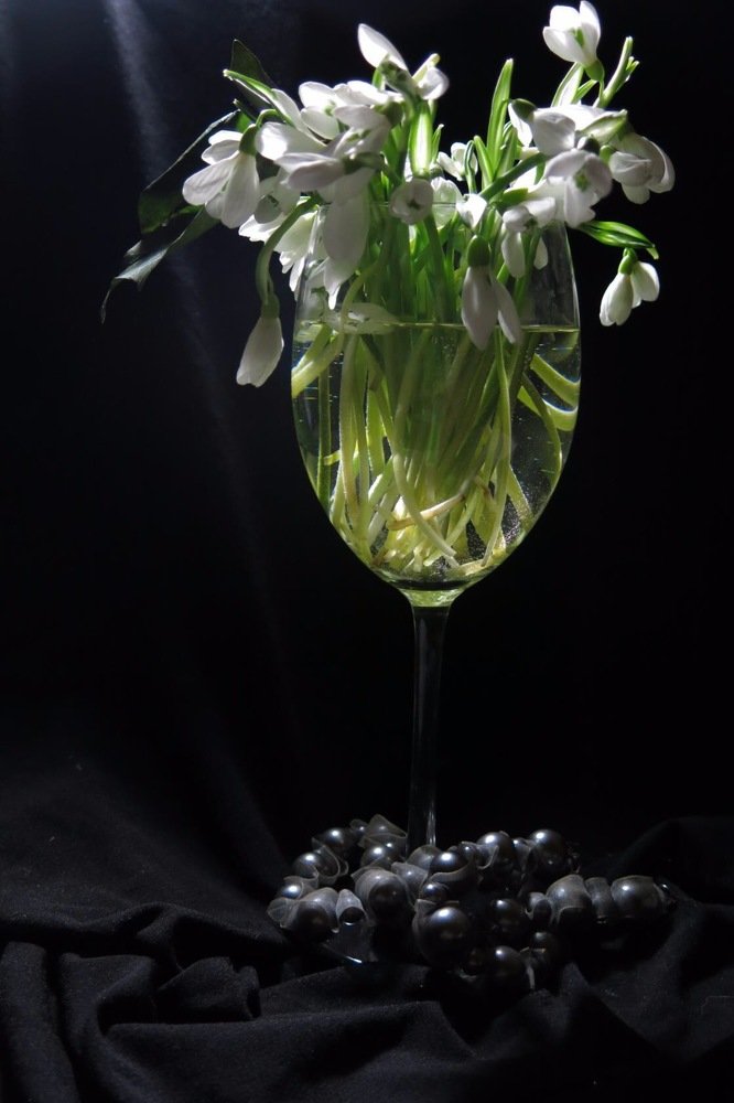 Февральский секрет