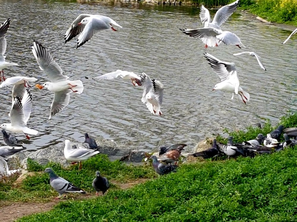 Photograph by Екатерина Емельянова