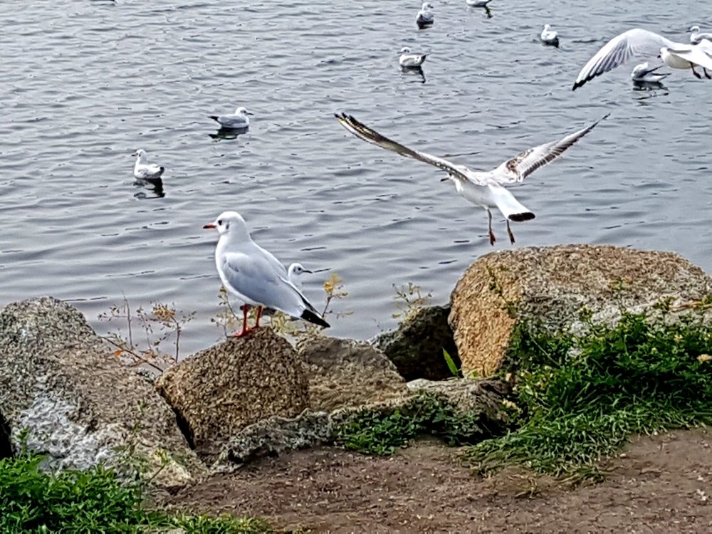 Photograph by Екатерина Емельянова