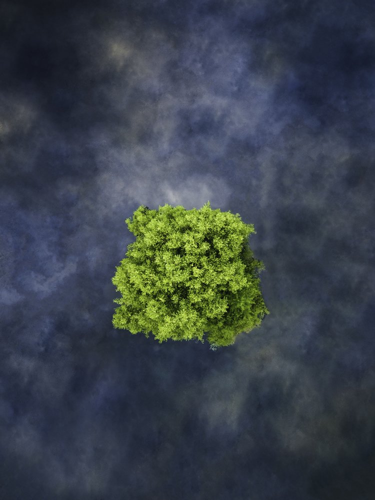 Photograph by Maksym Starepravo