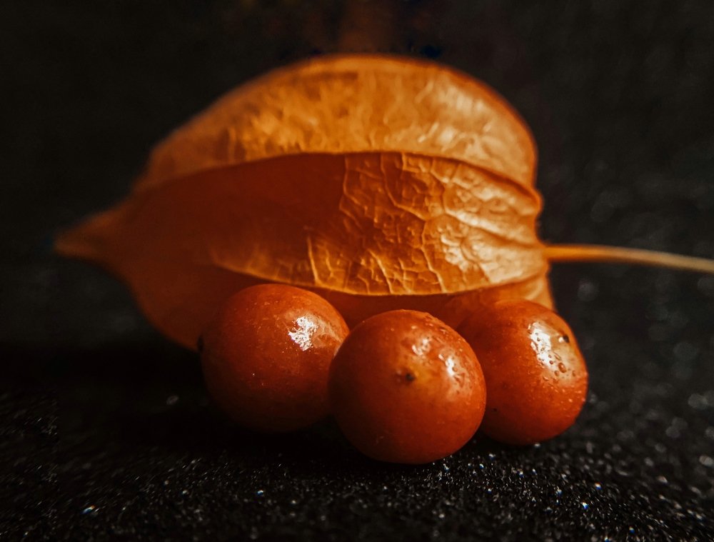 Photograph by Светлана Ишкина