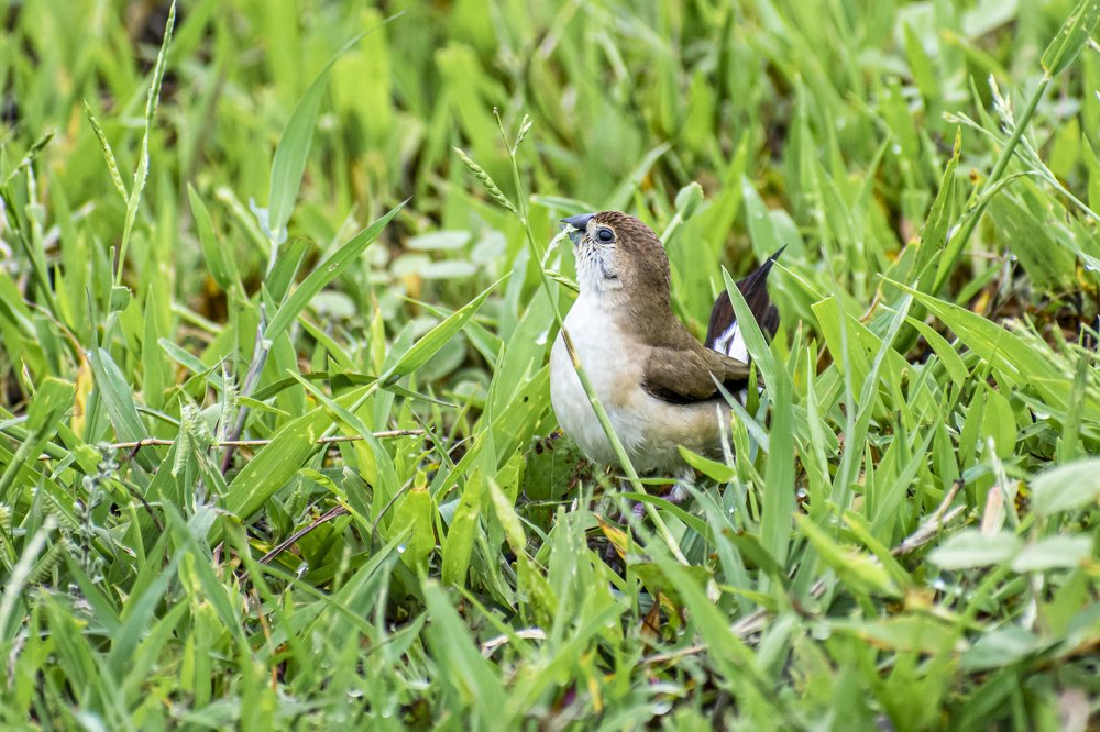 Photograph by mayur shrimali