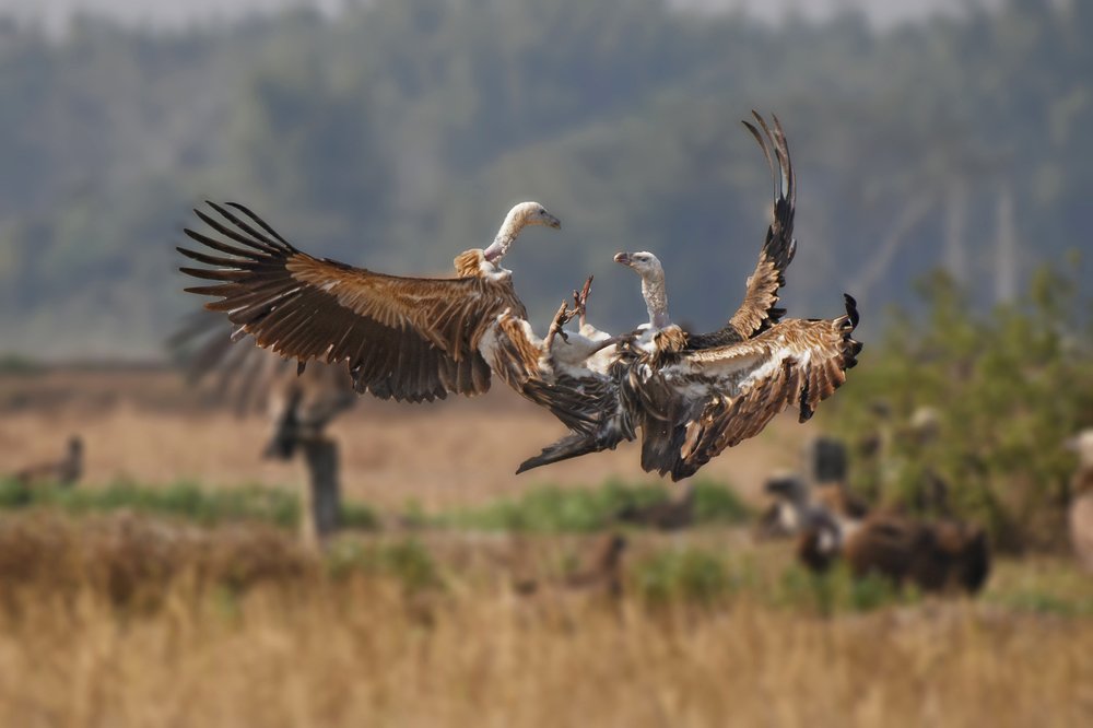 Фотография автора Prateek Agarwal