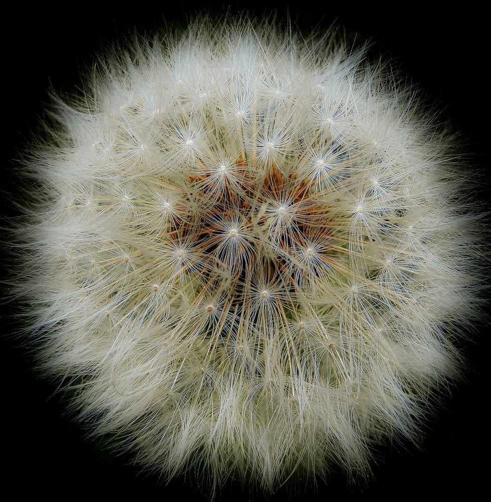 Photograph by Ольга Воронова