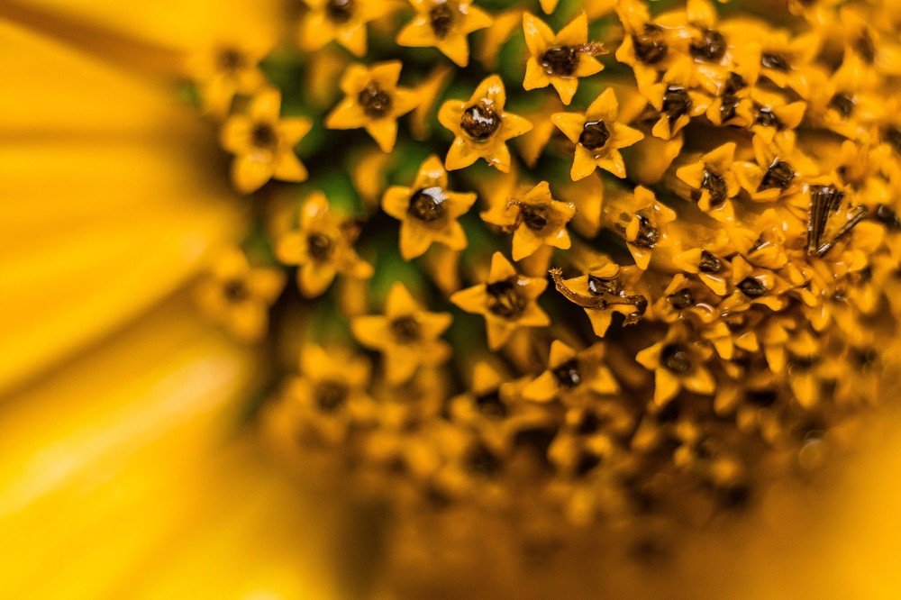 Photograph by Анна Рудакова