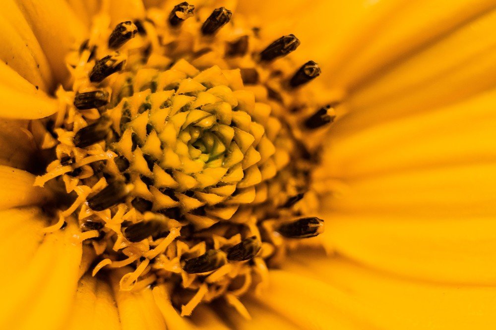 Photograph by Анна Рудакова