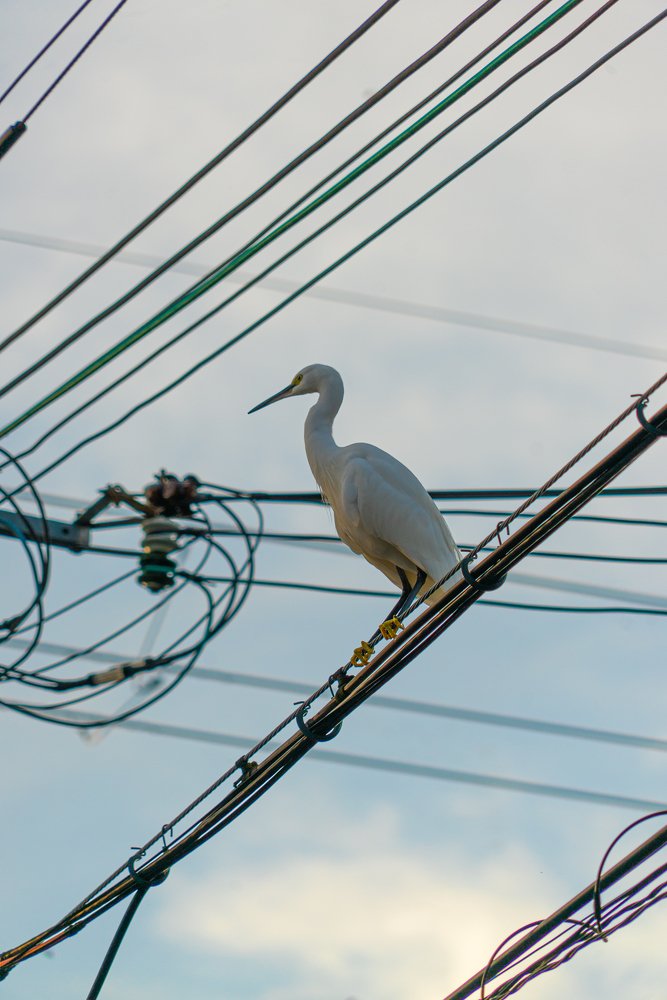 Photograph by Andrey Maksimov