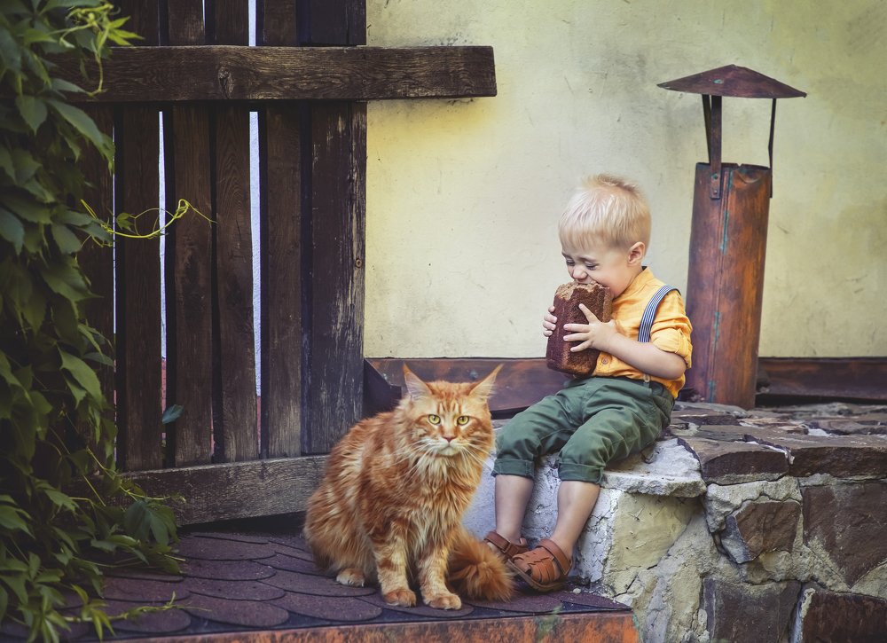 Фотография автора Катерина Лебедева