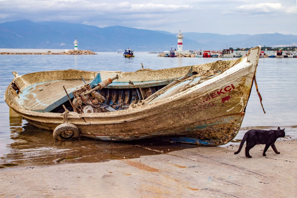 Photograph by Hasan Bayrak