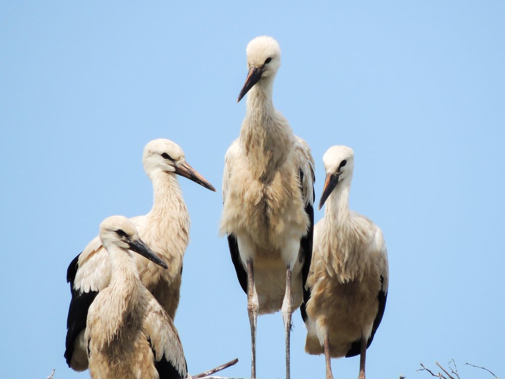 Photograph by Светлана Беспалко