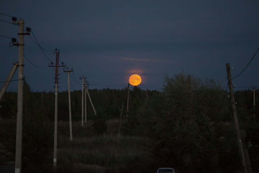 Фотография автора Ольга Малкова