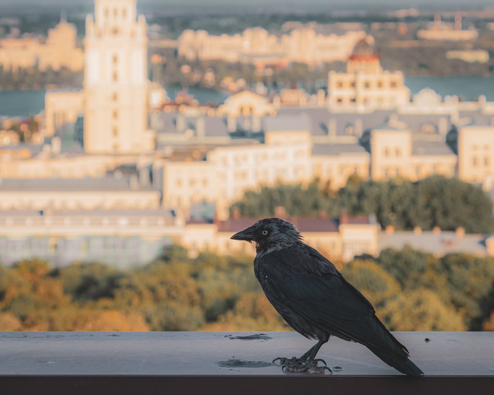 Photograph by Александр Лисенков