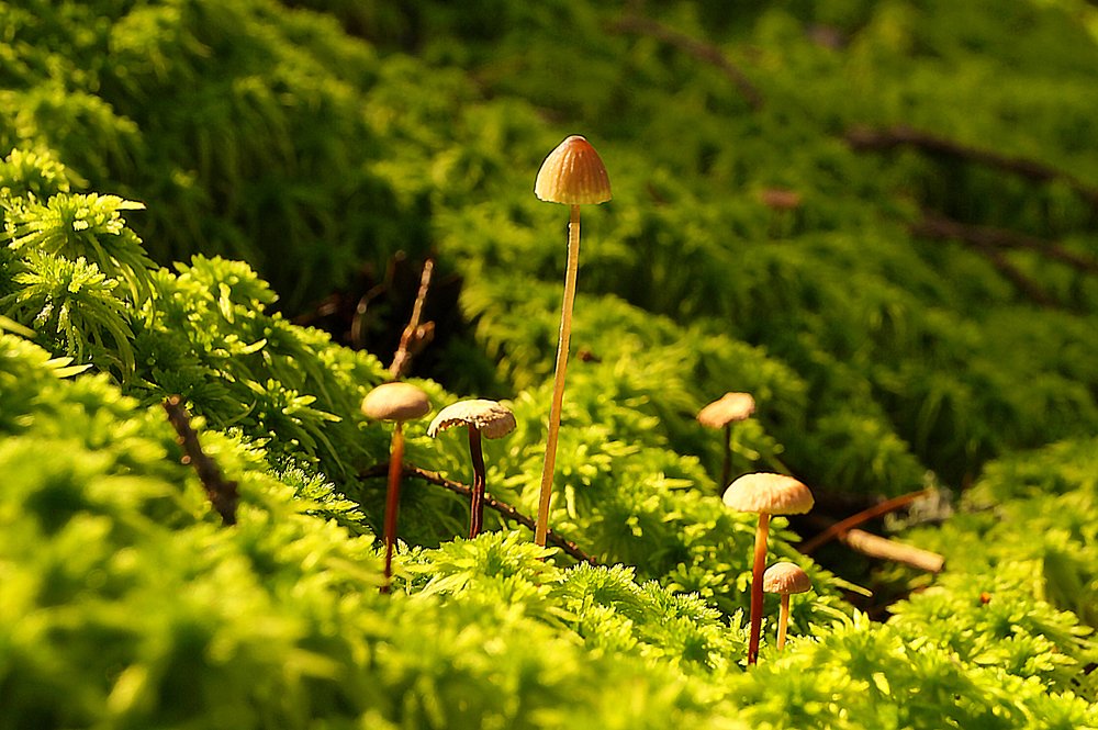 Фотография автора Юрий Цыркунов