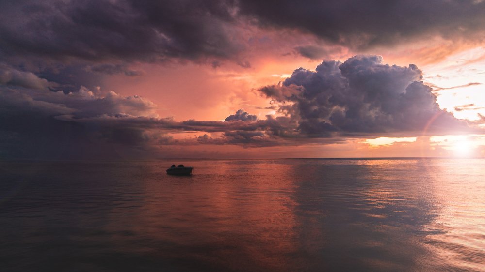 Photograph by LESIEUR Regis