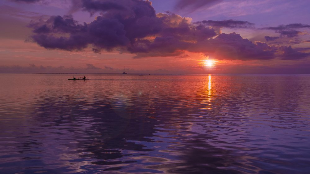 Photograph by LESIEUR Regis