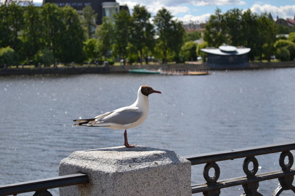 Photograph by Alyona Kokshyna