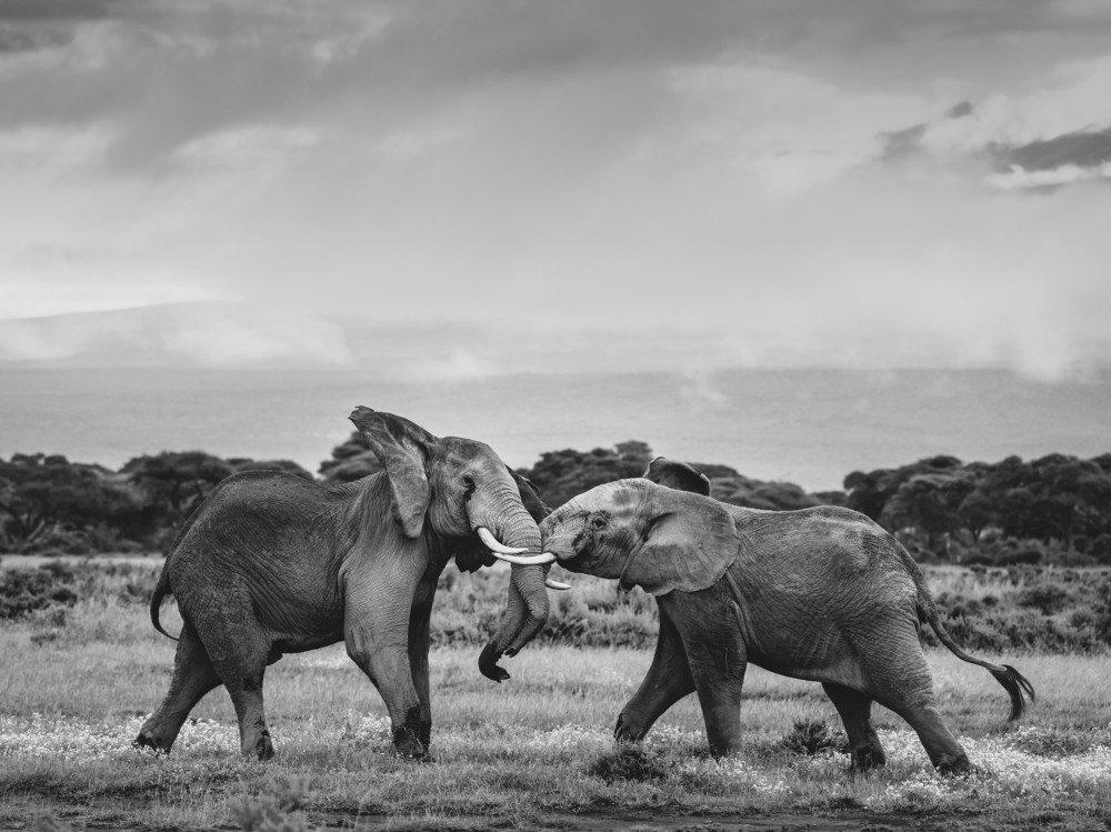 Photograph by Дмитрий Николаев